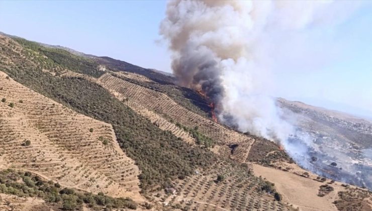 İzmir’de makilik alanda çıkan yangın kontrol altına alındı