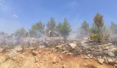 Mersin’de 4 noktada çıkan orman yangınları söndürüldü