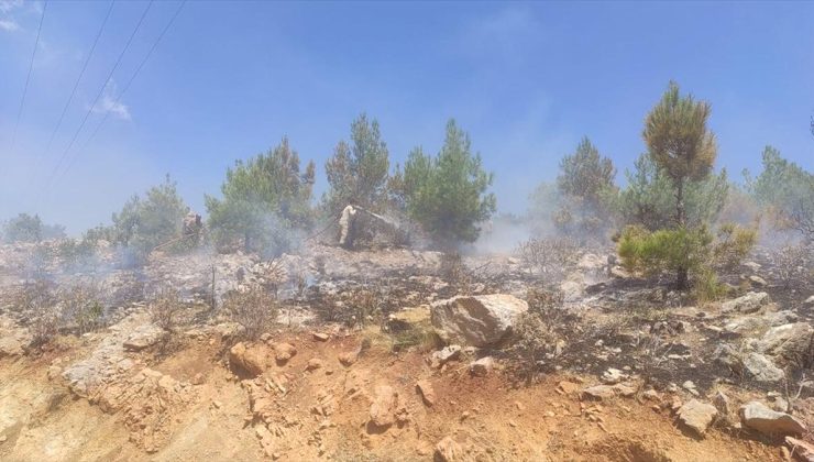 Mersin’de 4 noktada çıkan orman yangınları söndürüldü