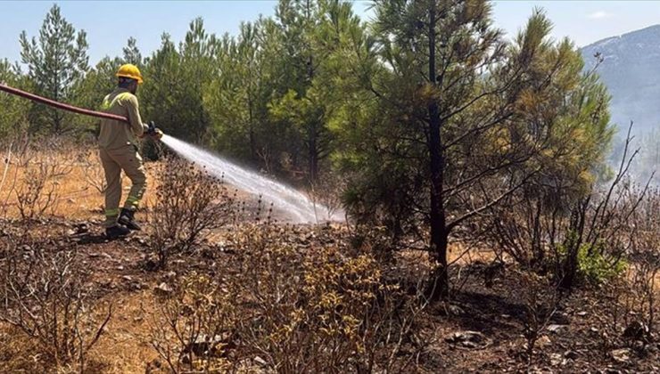 Mersin’de 4 noktada orman yangını çıkaran tutuklu 2 zanlı birbirini suçladı