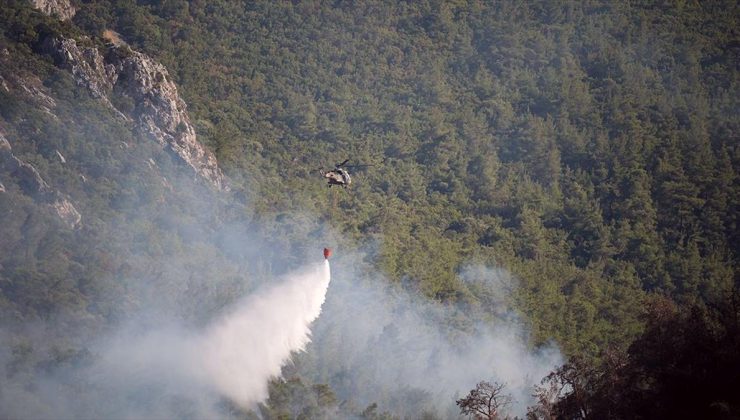 Orman yangınları alan olarak en çok İzmir ve Bolu’yu etkiledi