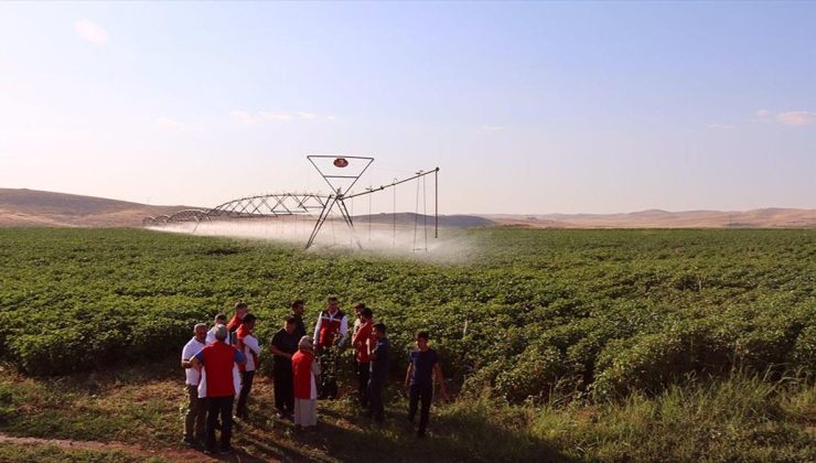 Şanlıurfa’daki üreticiler, anlık ulaştıkları ziraatçıların reçetesiyle bahçelerindeki sorunu çözüyor