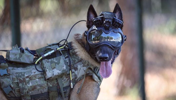 TSK’nin Özel Eğitimli Köpekleri ve Teknolojik Çözümleri