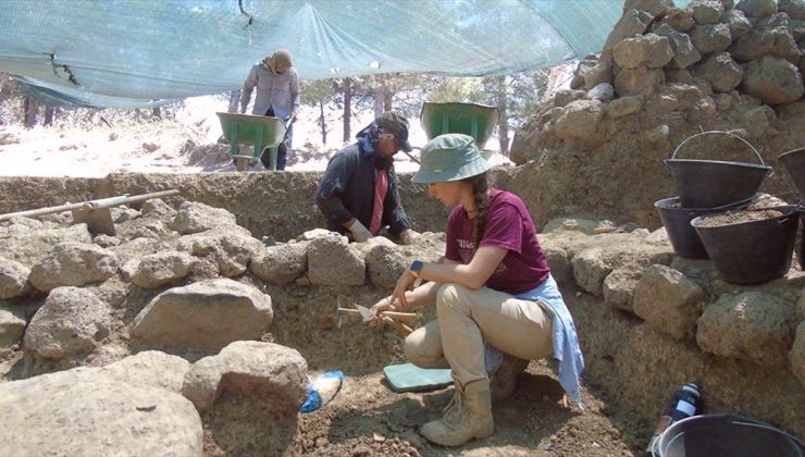 Zincirli Höyük Kazıları