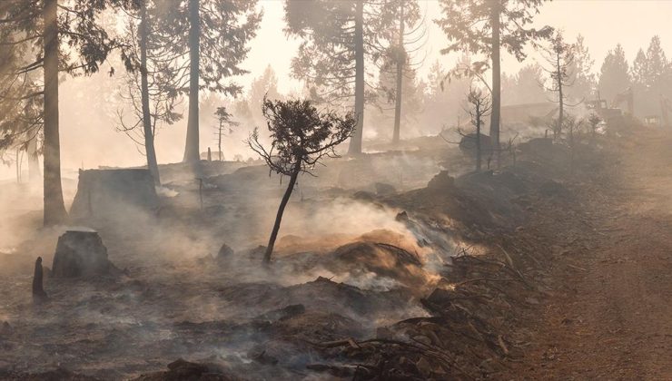 ABD’nin California eyaletindeki yangınlarda 440 kilometrekareden fazla alan kül oldu