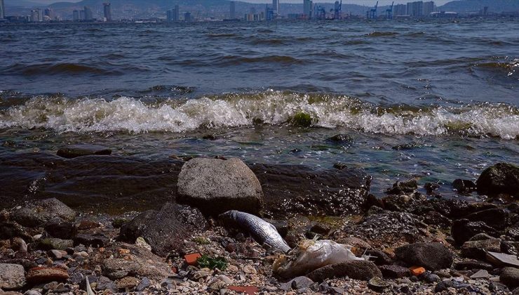 Atık su deşarjının detaylı incelenmesi için İzmir Körfezi’nde ikinci bilim seferi düzenlenecek