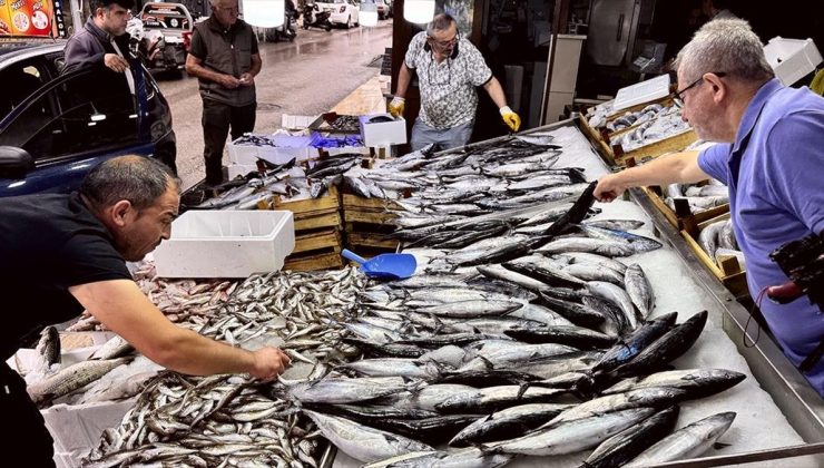 Balık tezgahlarında palamut, hamsi ve çinekop bolluğu yaşanıyor