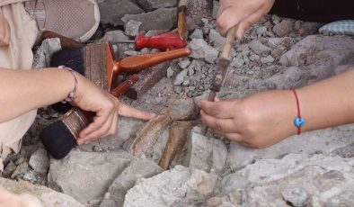 Çankırı Çorakyerler kazısında bu sezon en çok zürafa, fil ve gergedan fosili bulundu