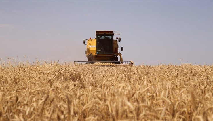 ÇKS kayıt yenileme başvurularının e-Devlet Kapısı üzerinden alınmasına başlandı