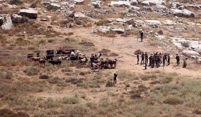 İsrail, işgal altındaki Batı Şeria’da Filistinlilere ait yüzlerce dönümlük araziye el koydu