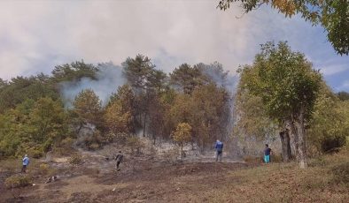 Karabük’te çıkan orman yangınında 15 dönüm alan zarar gördü