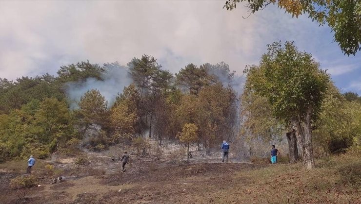 Karabük’te çıkan orman yangınında 15 dönüm alan zarar gördü