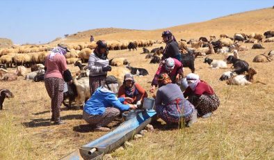 Yüksekova’da berivanlar yaptıkları ürünleri satarak aile bütçelerine katkıda bulunuyor