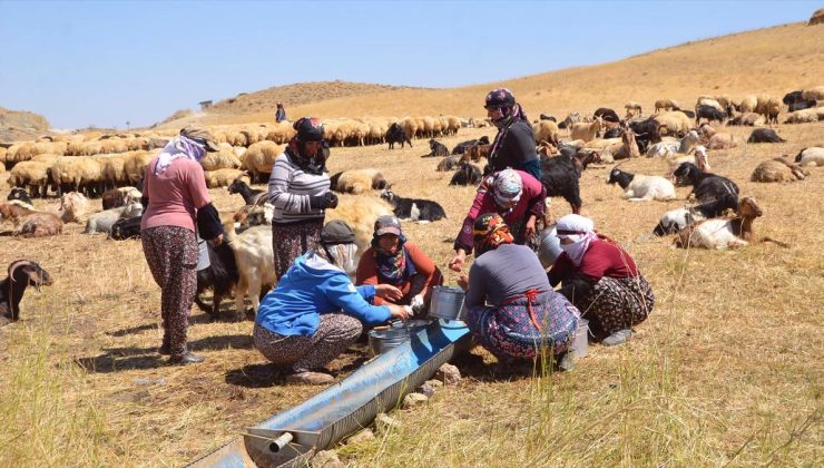 Yüksekova’da berivanlar yaptıkları ürünleri satarak aile bütçelerine katkıda bulunuyor