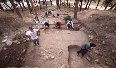 Yumuktepe Höyüğü’nde 9 bin yıllık geçmişe sahip iki buğday türü tespit edildi