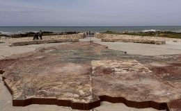 Afrika’nın en güney ucunda, iki okyanus manzarası sunan doğa yolculuğu: Cape Agulhas Ulusal Parkı