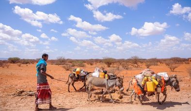 Afrika’nın güneyinde şiddetli kuraklık nedeniyle 15 milyon kişi acil gıda yardımına muhtaç