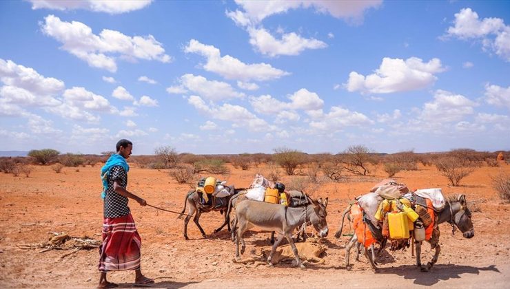 Afrika’nın güneyinde şiddetli kuraklık nedeniyle 15 milyon kişi acil gıda yardımına muhtaç