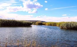 Ağrı Dağı’nın eteklerindeki sulak alanlar turizme kazandırılıyor