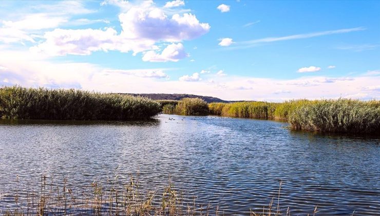 Ağrı Dağı’nın eteklerindeki sulak alanlar turizme kazandırılıyor