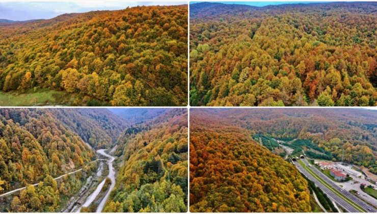 Anadolu Otoyolu’nun Bolu Dağı kesimi sonbahar renkleri arasında yolculuk imkanı sunuyor