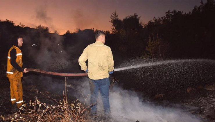 Aydın’da ormanlık ve zeytinlik alanda çıkan yangın kontrol altına alındı