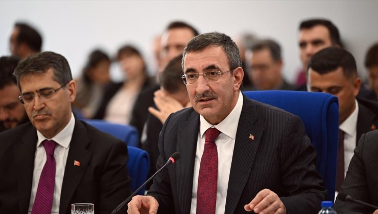 Cevdet Yılmaz: 2025 Yılı Merkezi Yönetim Bütçesi Üzerine Açıklamalar