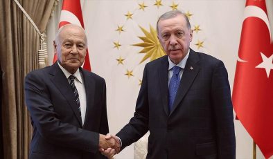 Cumhurbaşkanı Erdoğan, Arap Birliği Genel Sekreteri Ebu Gayt’ı kabul etti