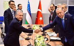 Cumhurbaşkanı Erdoğan, Özbekistan Cumhurbaşkanı Mirziyoyev ile görüştü