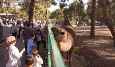 Gaziantep Doğal Yaşam Parkı’nı yılbaşından bu yana 4,2 milyon ziyaretçi gezdi