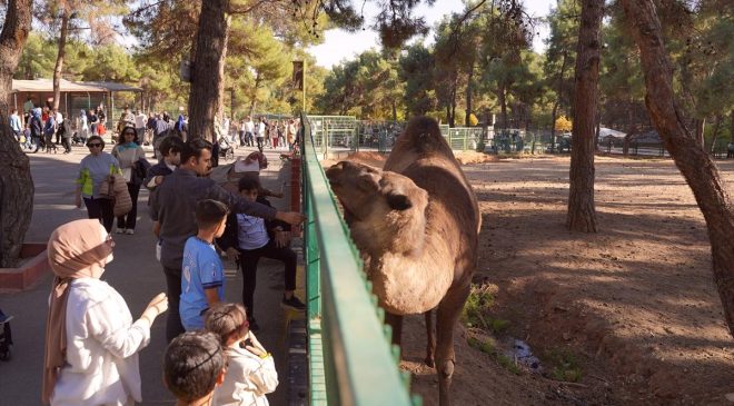 Gaziantep Doğal Yaşam Parkı’nı yılbaşından bu yana 4,2 milyon ziyaretçi gezdi