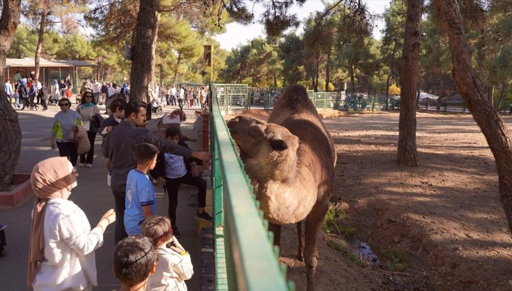 Gaziantep Doğal Yaşam Parkı’nı yılbaşından bu yana 4,2 milyon ziyaretçi gezdi