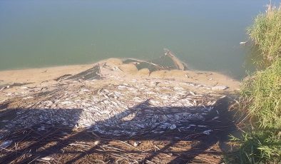 Gaziantep’te Karasu Çayı’nda balık ölümleri ve kötü koku üzerine inceleme başlatıldı