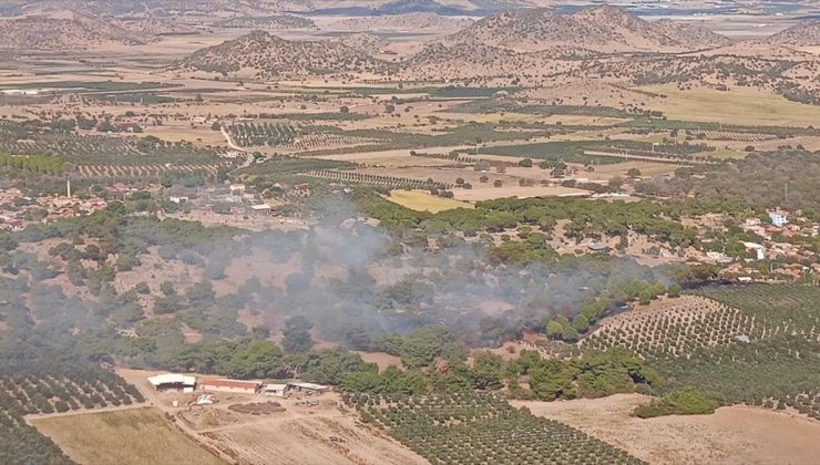 İzmir’de tarım arazisinde çıkan yangın ormana sıçradı