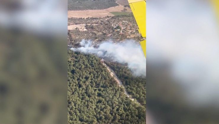 İzmir’de tarım arazisinde çıkıp ormana sıçrayan yangın kontrol altına alındı