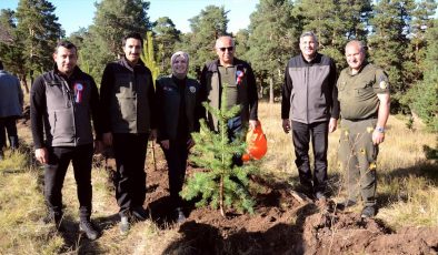 Kars’ta Sarıkamış ve Çanakkale şehitleri anısına hatıra ormanı oluşturuldu