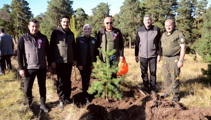 Kars’ta Sarıkamış ve Çanakkale şehitleri anısına hatıra ormanı oluşturuldu