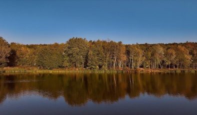 Korugöl Tabiat Parkı: Doğaseverlerin Cenneti