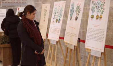 Meksika’nın tıbbi bitkileri Nevşehir’deki resim sergisinde tanıtıldı