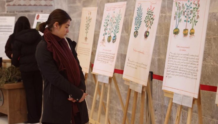 Meksika’nın tıbbi bitkileri Nevşehir’deki resim sergisinde tanıtıldı