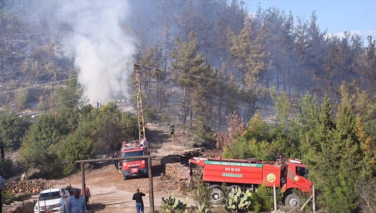 Osmaniye’de çıkan orman yangını söndürüldü