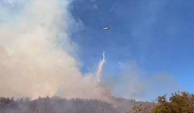 Antalya’daki ormanlık alanda çıkan yangın kontrol altına alındı