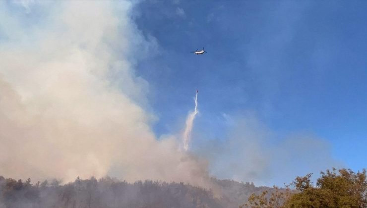 Antalya’daki ormanlık alanda çıkan yangın kontrol altına alındı