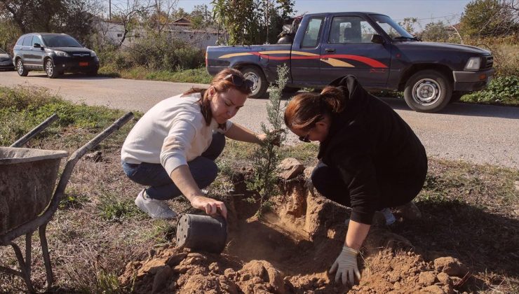 Batı Trakya Türkleri, yangınlardan etkilenen bölgelere fidan dikiyor