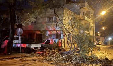 Bursa’da fırtına ağaçlar ve çöp konteynerlerini devirdi, araçlara zarar verdi