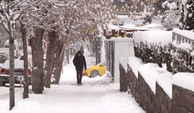 Doğu Anadolu’da 5 ilde kar yağışı devam ediyor