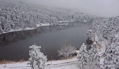 Gölcük Tabiat Parkı’nda Karın Büyüleyici Hâli