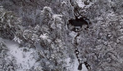 Kastamonu’da Kocagöl ve çevresindeki ormanlar kar yağışı sonrasında beyaz örtüyle kaplandı