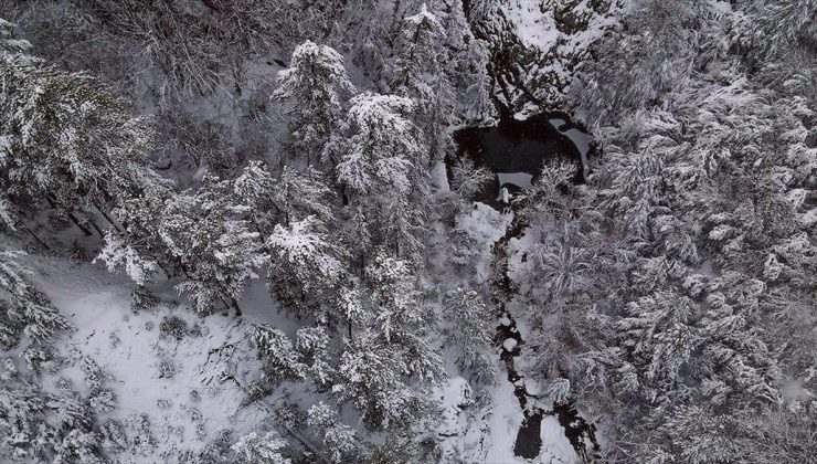 Kastamonu’da Kocagöl ve çevresindeki ormanlar kar yağışı sonrasında beyaz örtüyle kaplandı