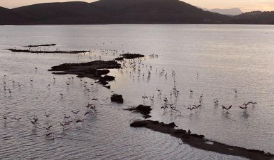 Milas-Bodrum’un Cenneti: Tuzla Sulak Alanı